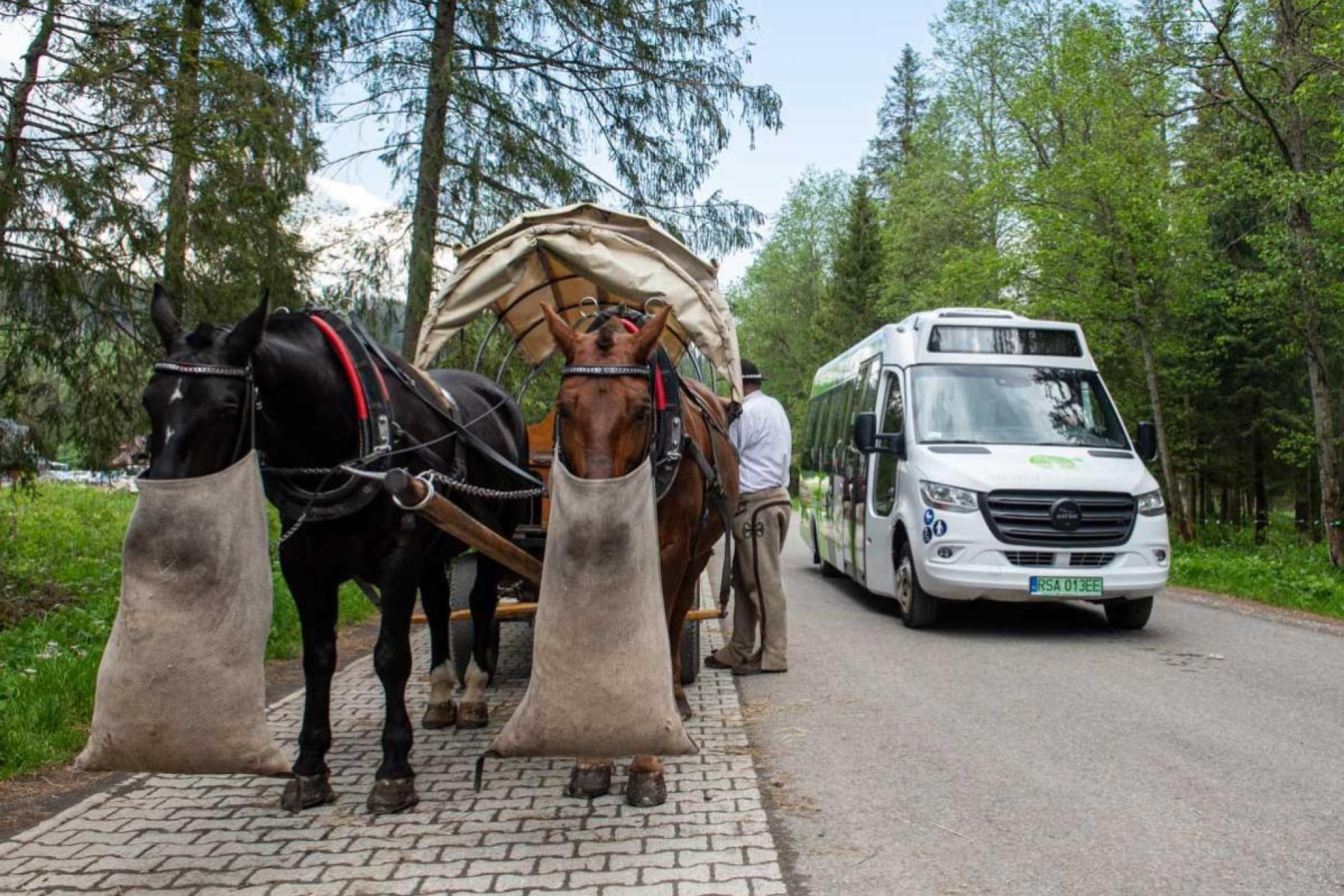 Weterynarz likwidacja transportu do Morskiego Oka oznaczałaby pogrom