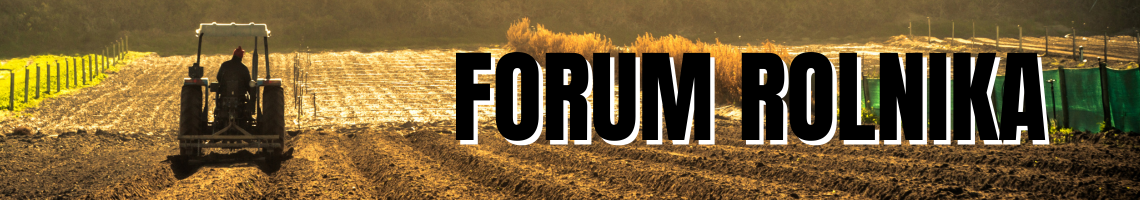 Radio Kraków 1140 x 200 px.png (437 KB)