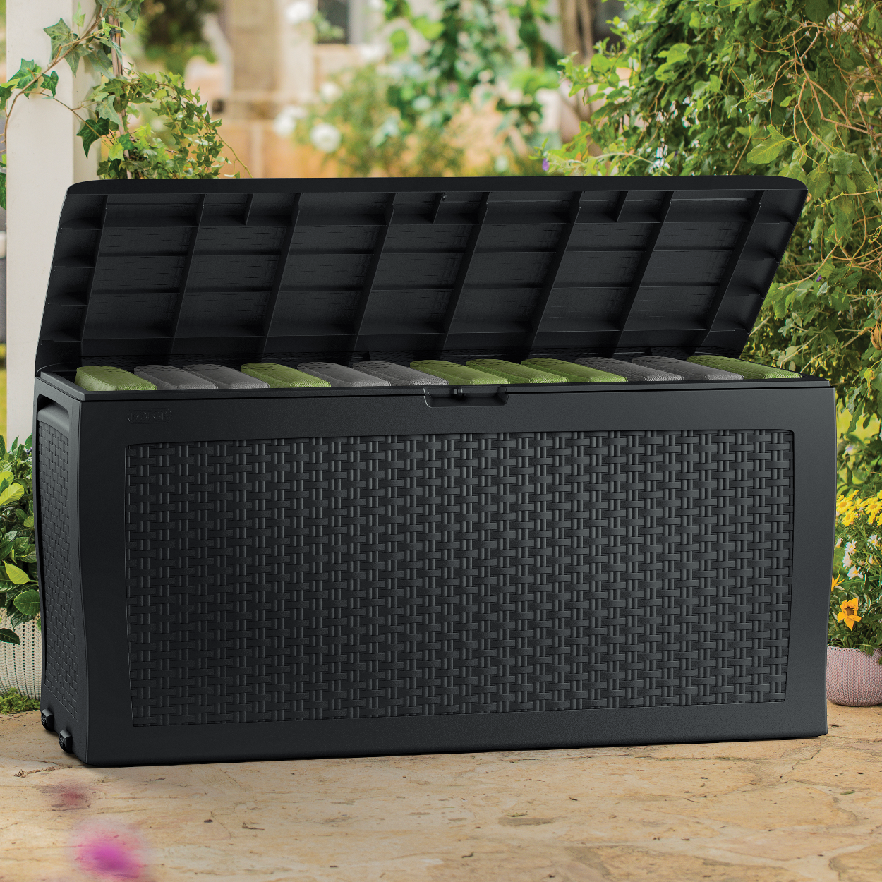 vcasbvX229fxfpz.png (2.45 MB)