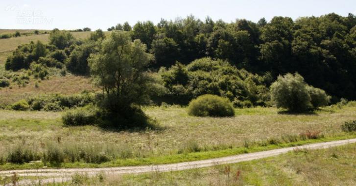 Ryglice postarają się już nie o jeden a o dwa zbiorniki przeciwpowodziowe