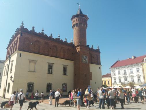 Berneńczyki spotkały się w Tarnowie. To przepsy - mówią ich właściciele