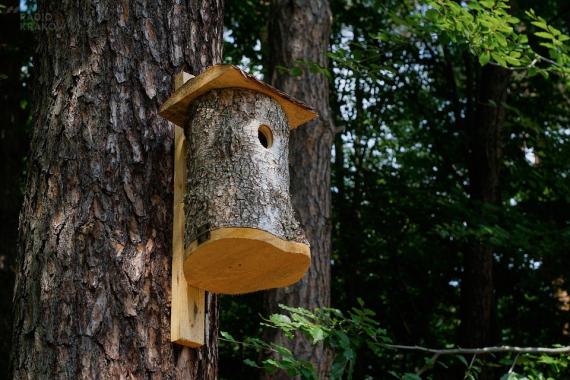 Budki lęgowe dla ptaków – krakowski recyklingowy pomysł na Walentynki