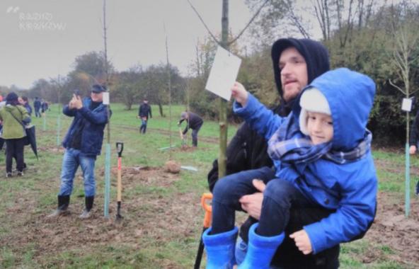 Park Krakowian: chętnych do sadzenia drzew było tak wielu, że aż zawiesiła się strona