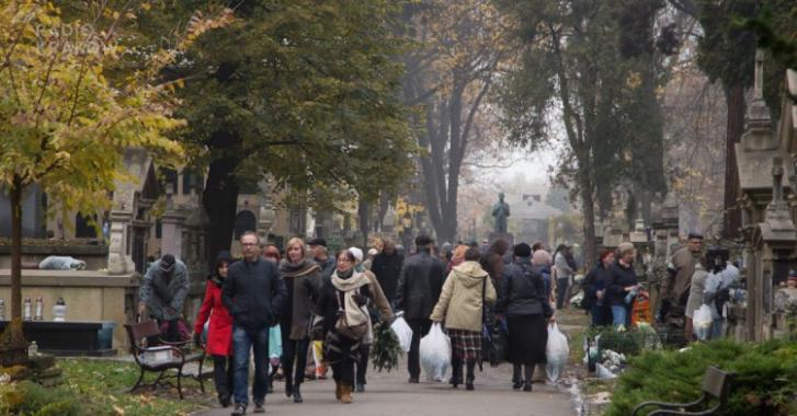 Na krakowskim cmentarzu Rakowickim po raz drugi odbędzie się koncert Memento vitae