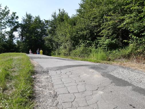 Mieszkańcy ul. Zalesie w Nowym Sączu od ponad 30 lat walczą o bezpieczny dojazd do swoich domów