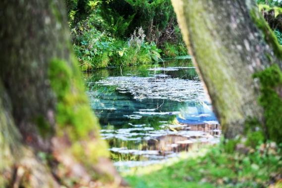 Dłubniański Park Krajobrazowy