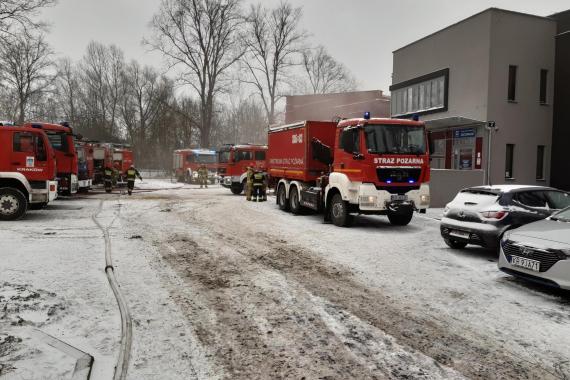 Pożar archiwum: do końca roku opinia biegłych