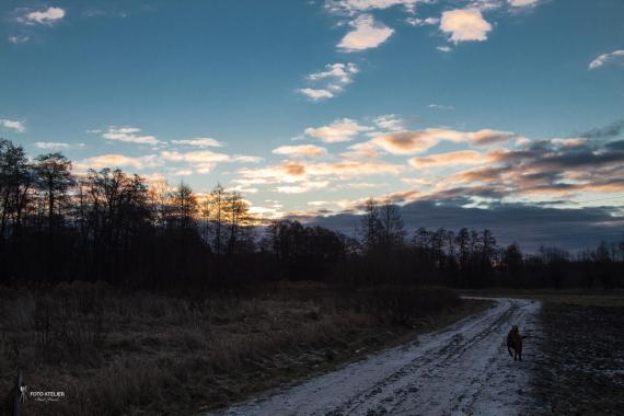 Dolina Dłubni po obfitych opadach deszczu