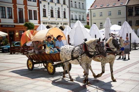 Romologowie z całego świata zjadą do Tarnowa