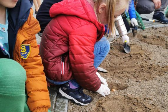 Uczniowie z Tarnowa włączają się w akcję pomocy hospicjum