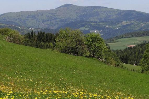 Zakończyła się budowa wieży widokowej na Mogielicy w Beskidzie Wyspowym