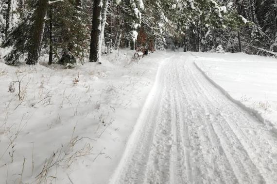 Krynica: trasy MTB na Górze Parkowej są przygotowywane dla pieszych i narciarzy