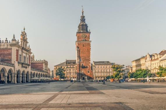 Drzewa na krakowskim Rynku. Za i przeciw