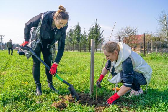 Ponad 230 drzew zostało posadzonych przy stacji uzdatniania wody w Świniarsku