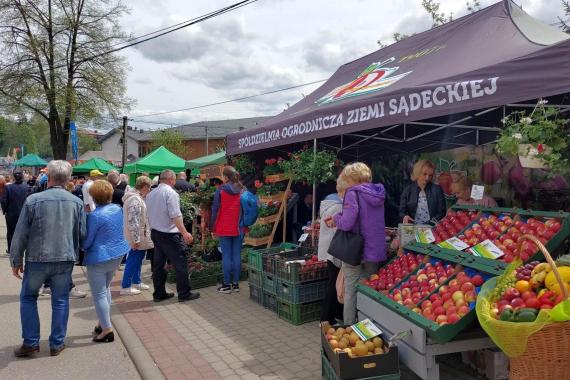 Święto Kwitnących Jabłoni w Łącku [ZDJĘCIA]