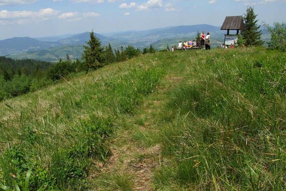 W Gorczańskim Parku Narodowym można od wtorku wędrować nowym szlakiem na Turbaczyk z Koniny