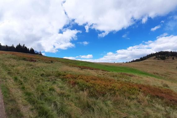 Beskidy: Warunki na szlakach są wyśmienite; po południu - burzowo