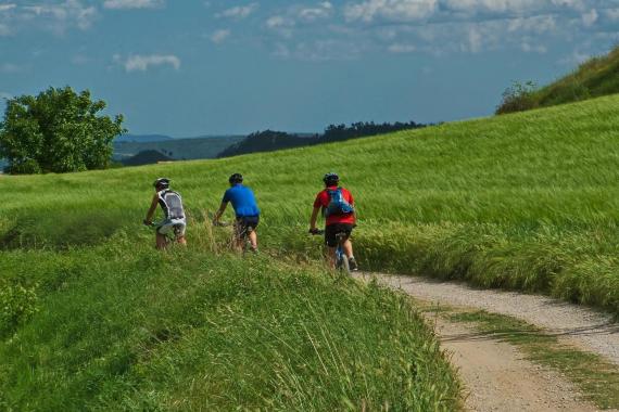 Ekspert: Ćwiczenia fizyczne w czasie upałów nie są dla wszystkich