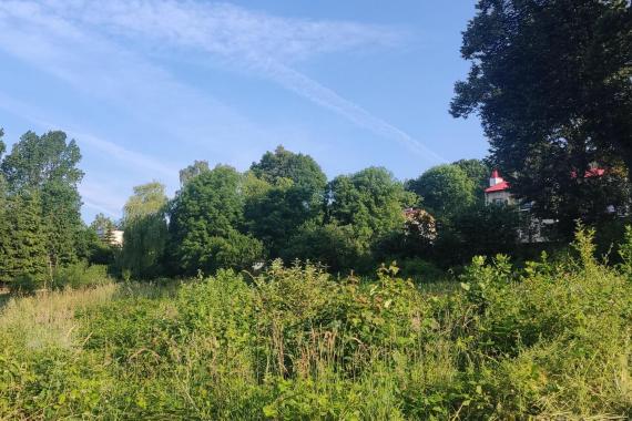 Nauce i ekologii ma służyć park podworski w Tymbarku