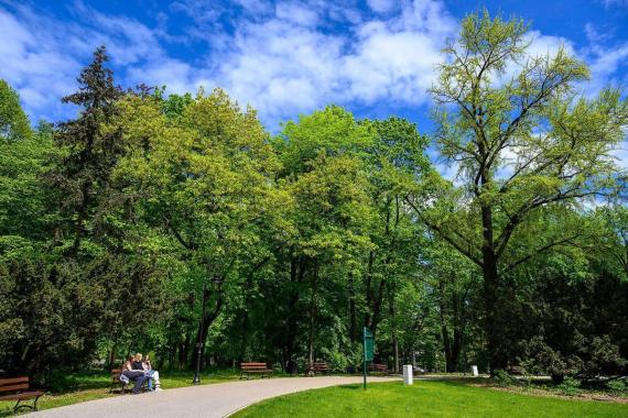 W Parku Strzeleckim powstanie Aleja Wybitnych Tarnowian?