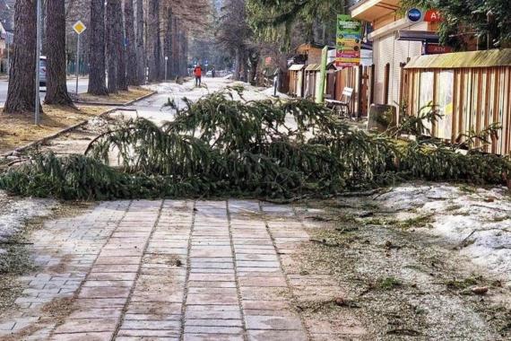  Halny spowodował gwałtowne ocieplenie; 20 st. C na termometrach