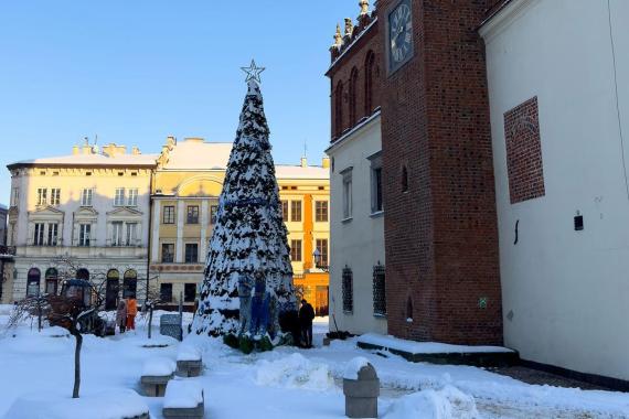 Na tarnowski Rynek wraca świąteczna choinka