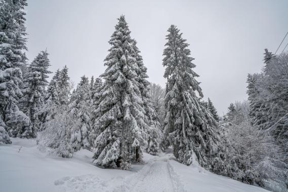 Beskidy: trudne warunki na szlakach; sypnęło śniegiem, szlaki nieprzetarte