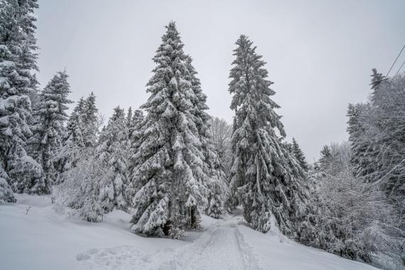 Beskidy: w górach warunki na szlakach są trudne; wieje silny wiatr