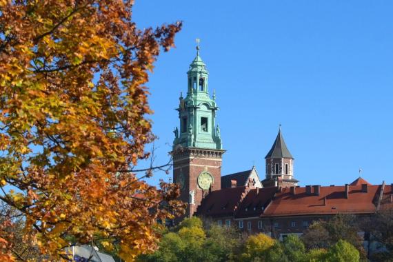 Podczas badań archeologicznych na Wawelu odkryto złoty wczesnośredniowieczny pierścień