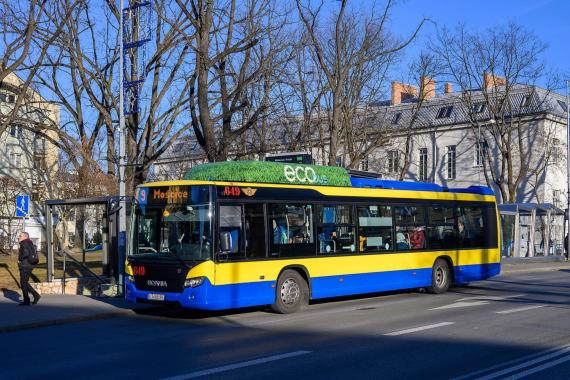 Tarnów: bezpłatna komunikacja miejska na wybory samorządowe