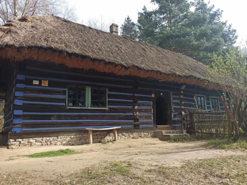 Gałązki palmowe miały ochronić dom, zapewnić urodzaj i szczęście