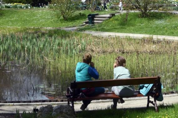 Ogród Botaniczny UJ chce postawienia ekranów akustycznych w centrum miasta. Powodem hałas powyżej norm