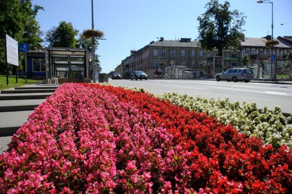 Mimo upalnych dni Tarnów na razie nie planuje uruchamiać kurtyn wodnych