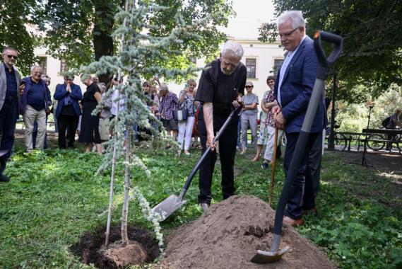 Na Plantach posadzono urodzinowy cedr ks. Adama Bonieckiego