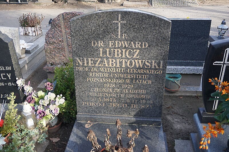 Grób prof. Edwarda Lubicz-Niezabitowskiego na cmentarzu Sołackim w Poznaniu (fot. Kordiann/Wikipedia)