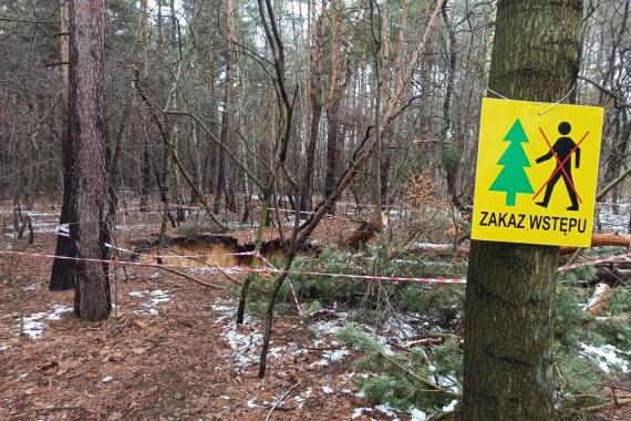 Nie wszędzie można iść na grzyby. W lasach w Trzebini i Olkuszu wciąż obowiązują zakazy wstępu