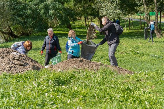 Sprzątanie brzegu rzeki Dunajec w ramach Akcji Czysta Wisła