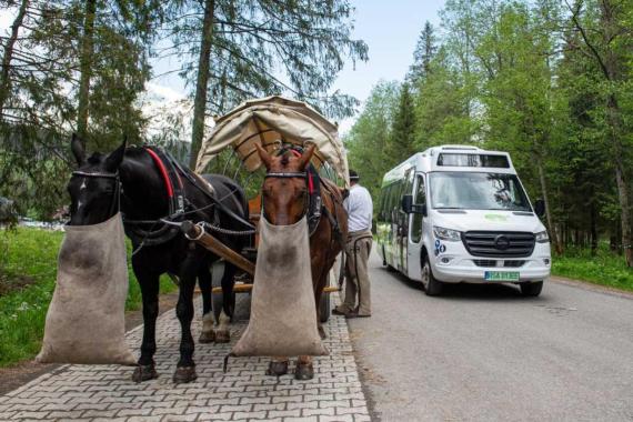 TPN kupi cztery elektryczne busy do Morskiego Oka. Co z transportem konnym?