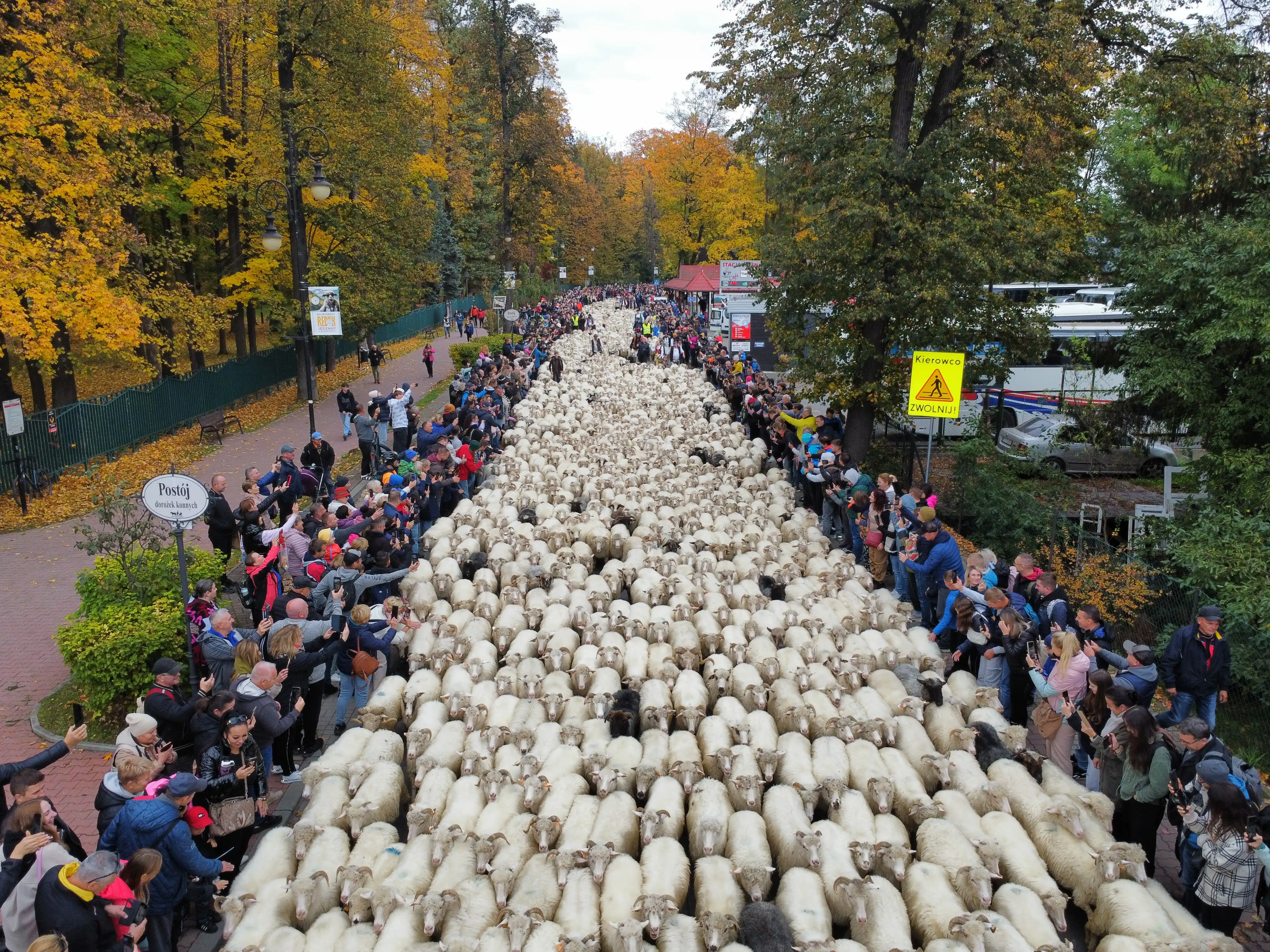 Powstanie nowa droga z Sądecczyzny do Szczawnicy? Sposób na korki w czasie redyku