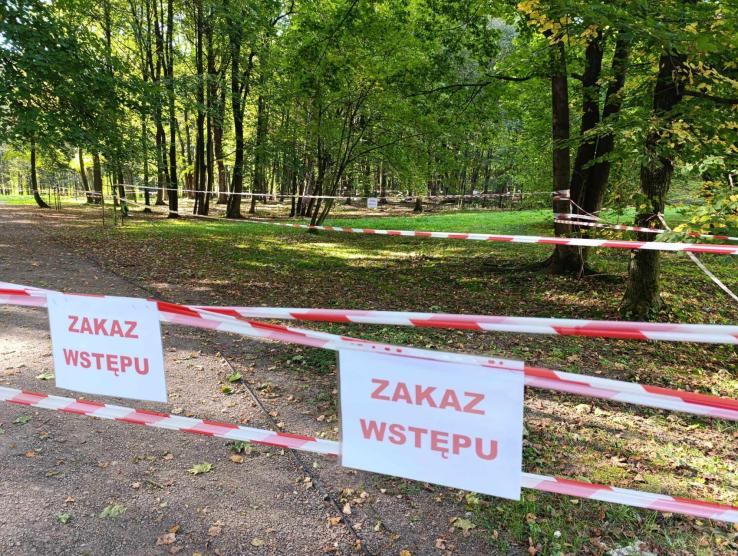 Ekspert: W rejonie Boelsławia jest prawie 700 zapadlisk. Zbliżają się do zabudowań