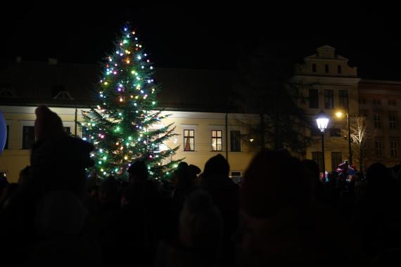 Prawie tak piękna jak ta na Rynku!