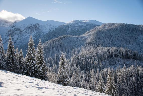 Turyści najcześniej gubili szlak. TOPR podsumowuje długi weekend