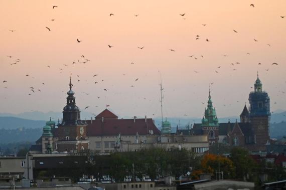 Tak dużej kwoty nie było nigdy. Rusza rekordowy Budżet Obywatelski Krakowa