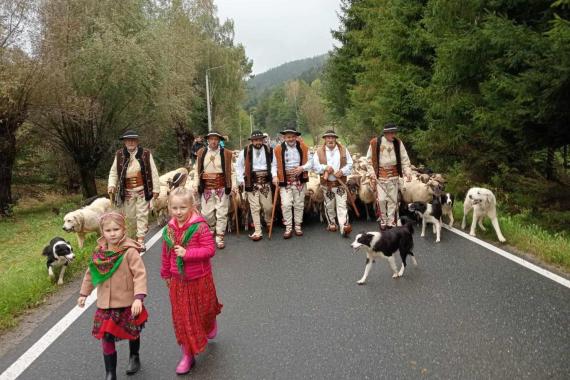 Polscy górale nie chcą być mniejszością narodową. „Góral to Polak”