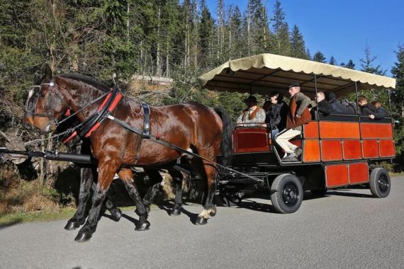 Górale chcą tradycyjnych fasiągów. „Próby zastąpienia ekologicznego transportu eskalują społeczny niepokój”