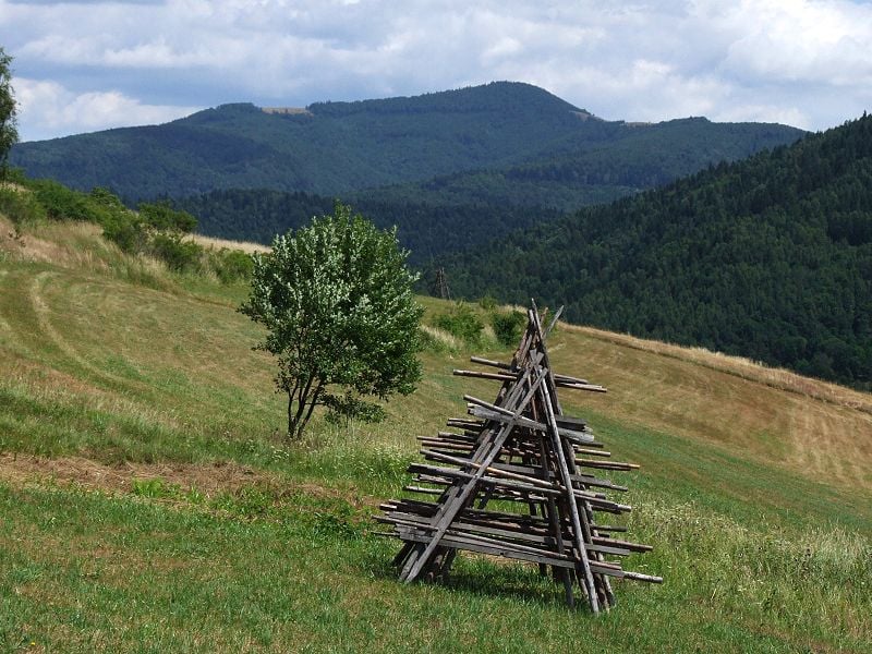 Mogielica (fot. Jerzy Opioła/Wikipedia)