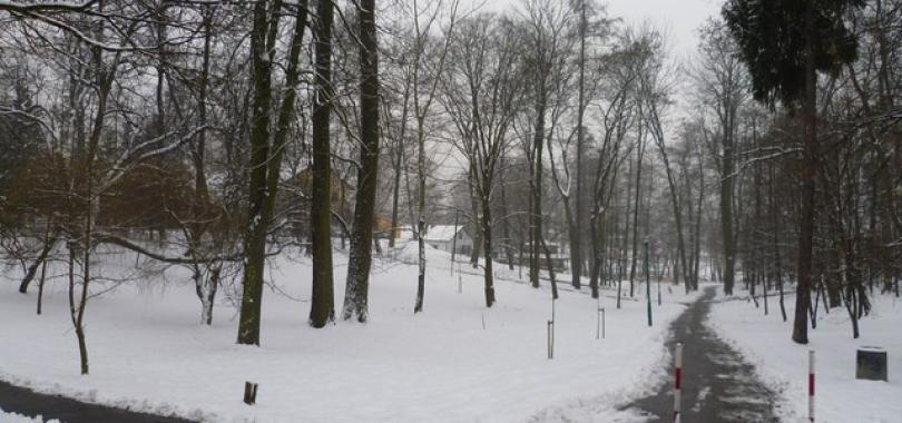 Ogrodzenie parku w Swoszowicach budzi sprzeciw mieszkańców