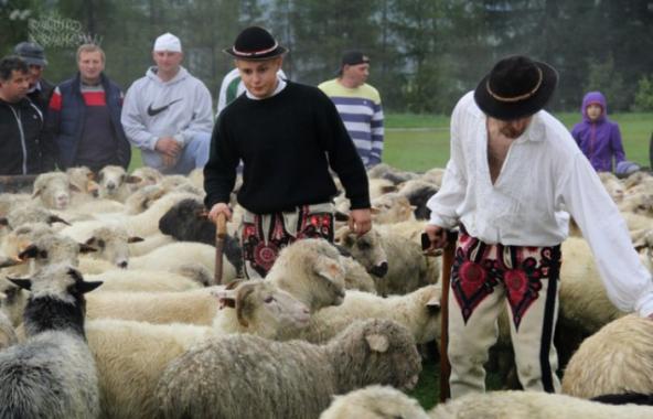 Kandydaci na juhasów i baców przystąpili do egzaminów