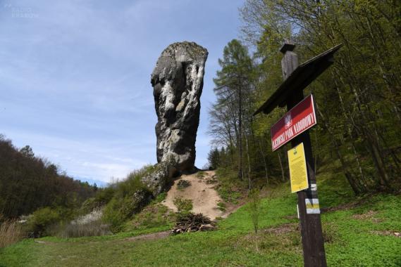 Ojcowski Park Narodowy otworzył swoje atrakcje turystyczne