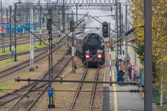 Nowy Sącz. Pociąg wolności